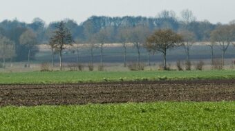 View from the Buunerbult