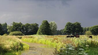 Nationaal Park Drentsche Aa