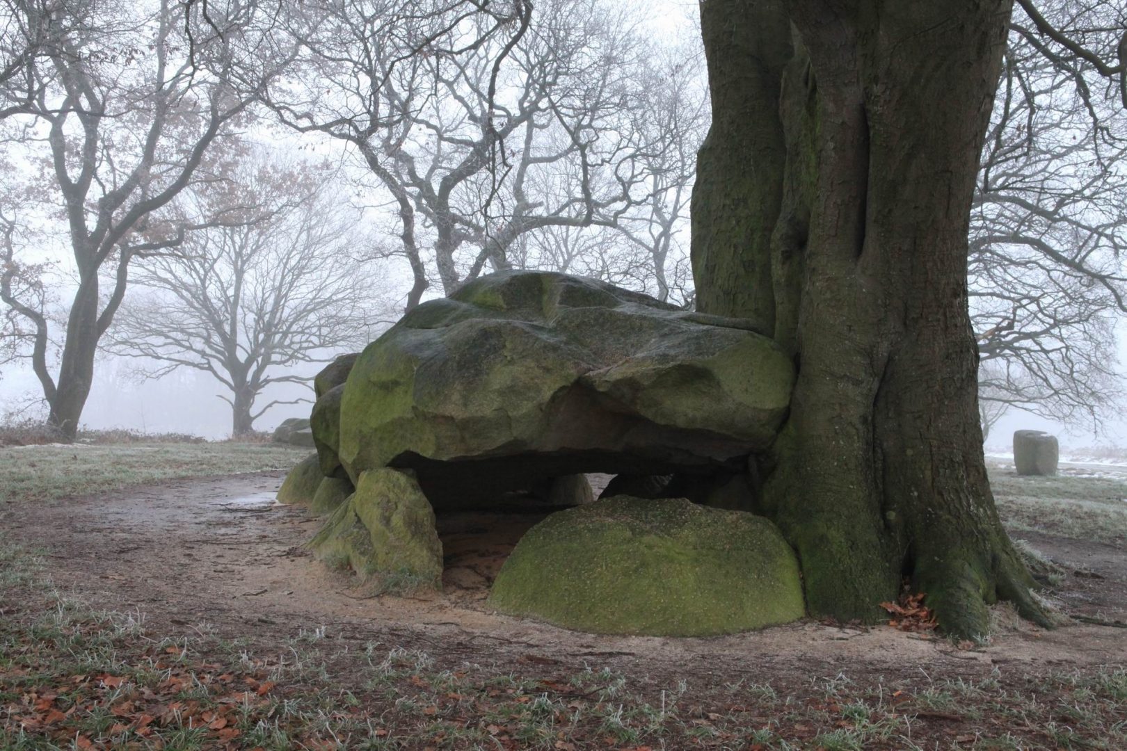 Prehistorie Geopark De Hondsrug prehistorie-geopark-de-hondsrug
