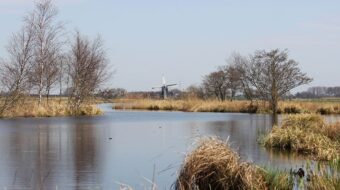 Onnerpolder