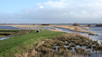 Oostpolder