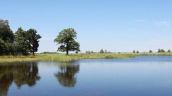 Polders Zuidlaardermeer