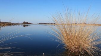 The story of water