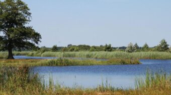 Waterpark ‘De Bloemert’