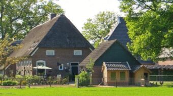 Huisweiden van esdorp Gees