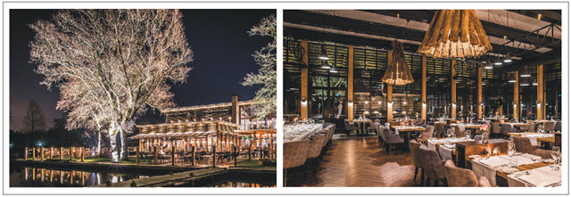 Martini Hotel Group