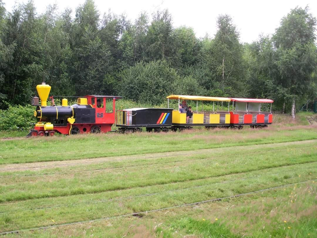 Reinig de vloer Auroch De eigenaar Spoor en spel - Geopark De Hondsrug