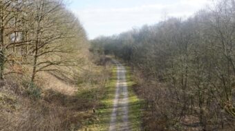 De Hamerlandenroute