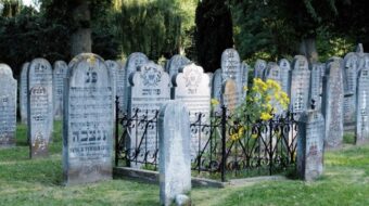 The Noorderbegraafplaats (Northern Cemetery) of Groningen