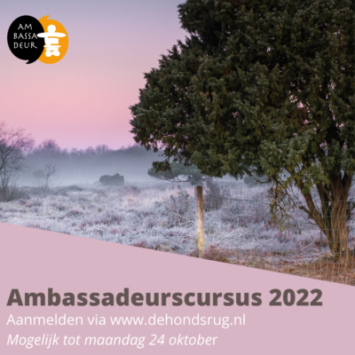  Foto door Arjen Snijder. Beeldbewerking door De Hondsrug UNESCO Global Geopark. Ambassadeurscursus 2022. 