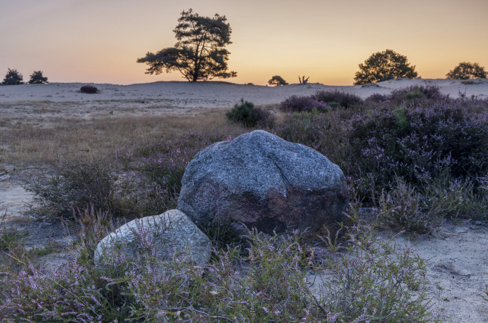Home Geopark De Hondsrug home-geopark-de-hondsrug