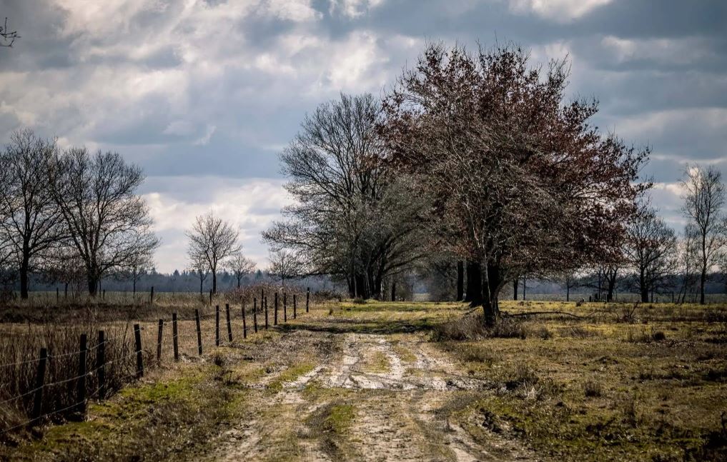 Eexterveld