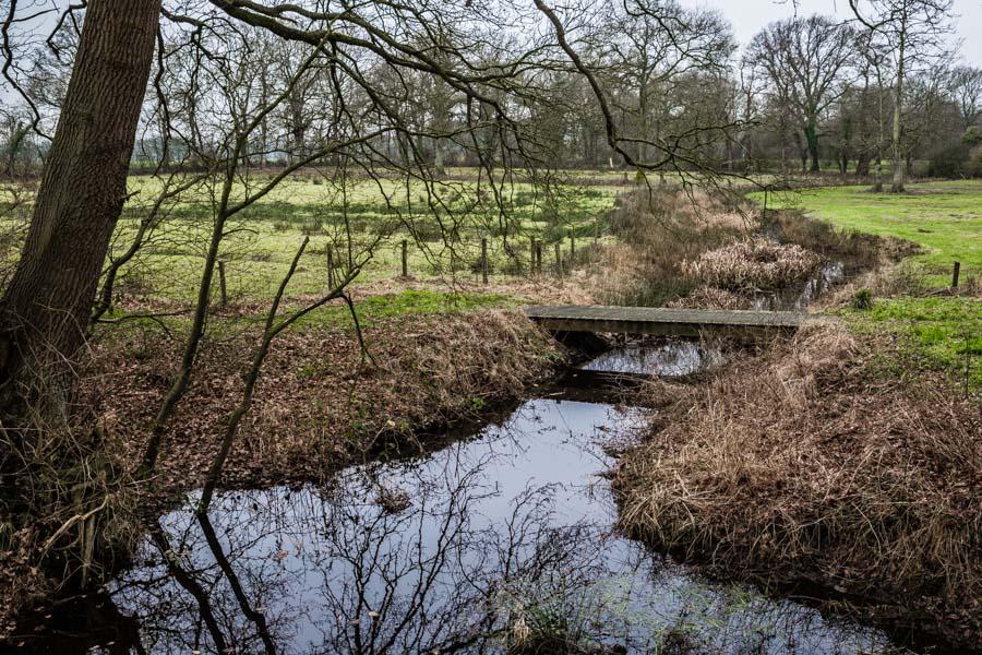 Scheebroekerloopje