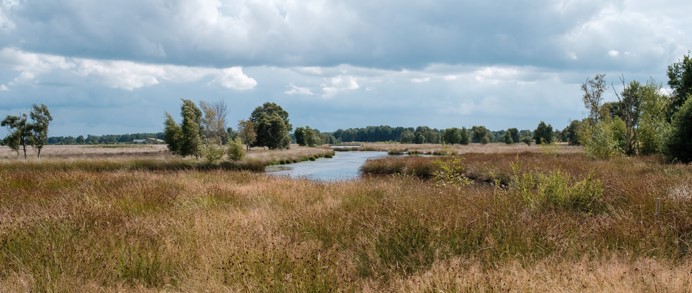 Het Bargerveen