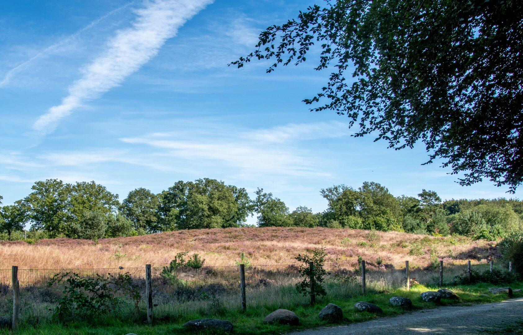 De Leewal is een heuvelrug die door het landschap kronkelt