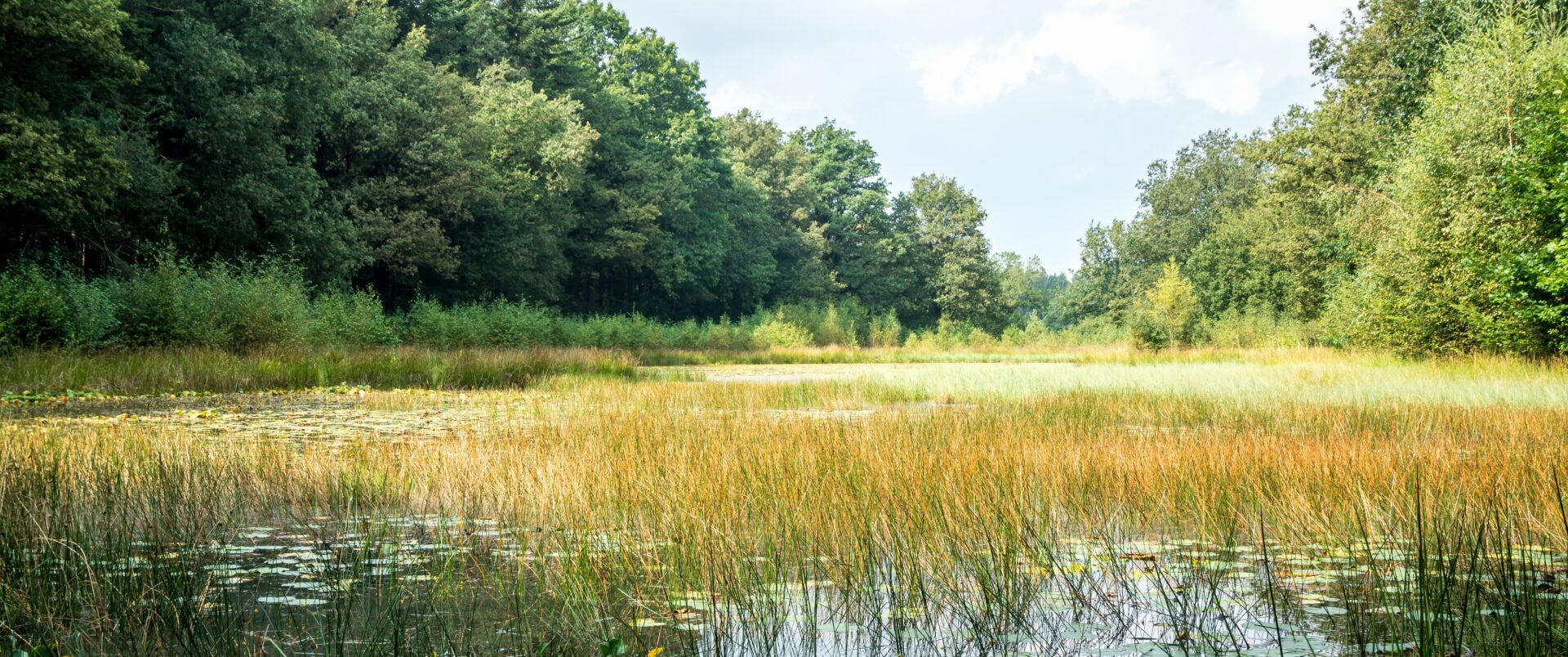 Het Sleenerzand (foto AO)