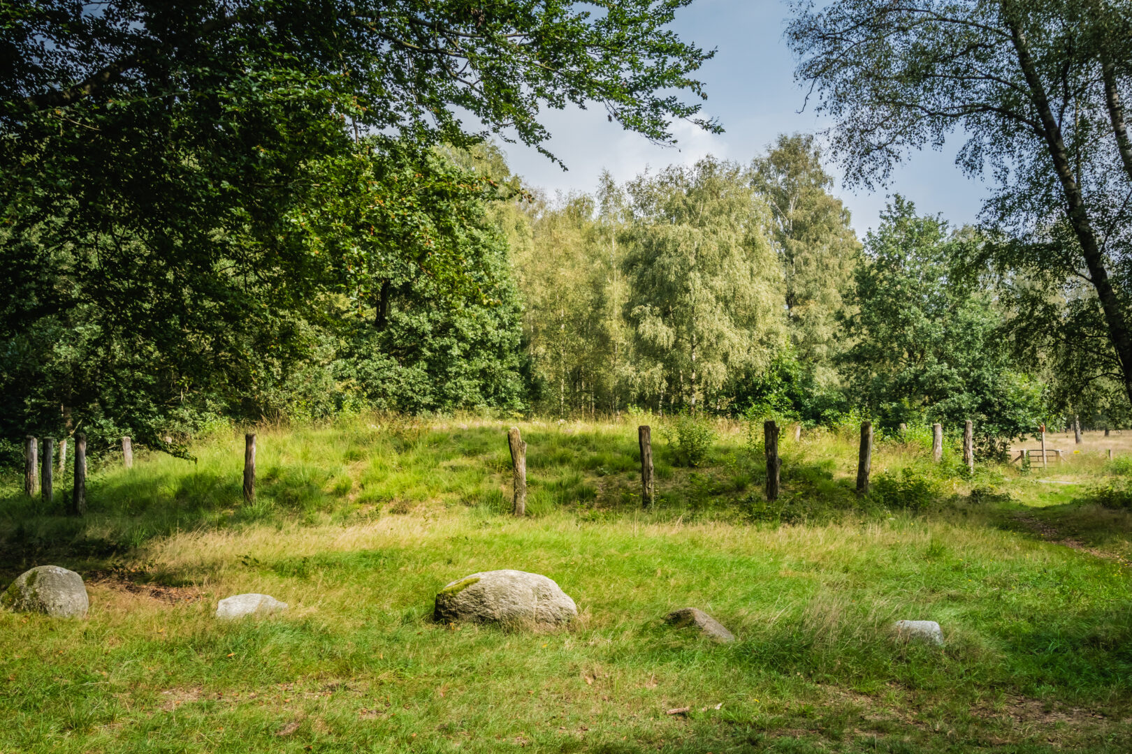 De Galgenberg in het Sleenerzand foto AO