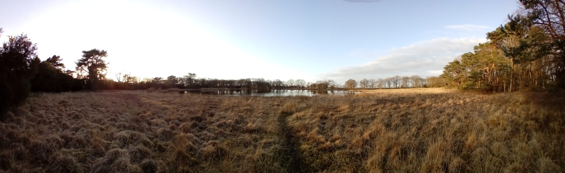 Panorama van het vennetje van Kampsheide